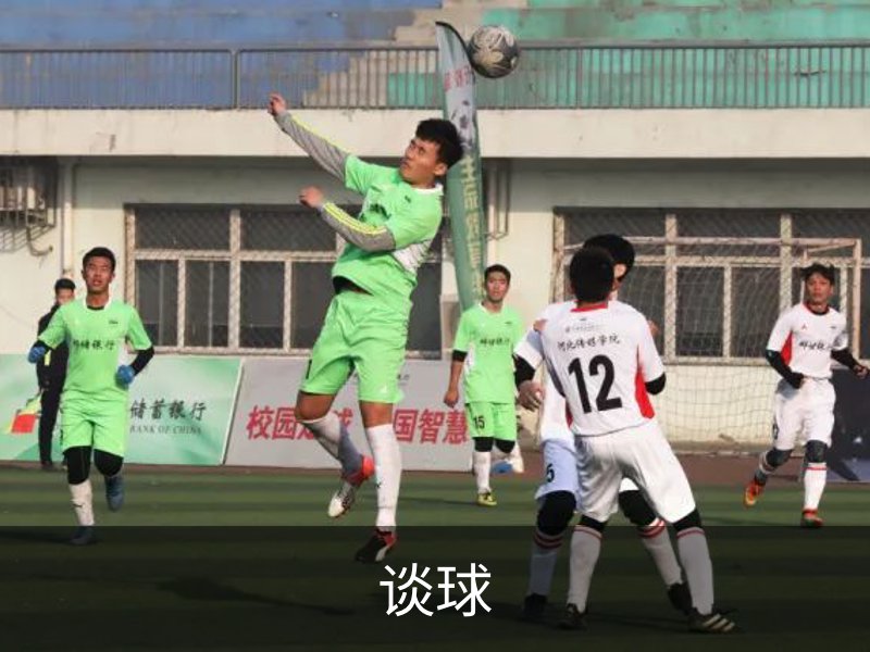 谈球介绍
